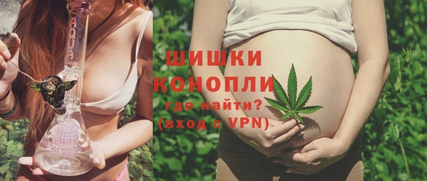 PSILOCYBIN Заводоуковск