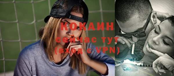 PSILOCYBIN Заводоуковск
