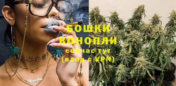 PSILOCYBIN Заводоуковск